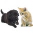 pour-vos-animaux-h2zoo-boutiques-marcado-kiosque-803