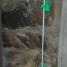 piquet-fibre-de-verre-tresselec-pour-cloture