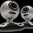 animatrice-webcam