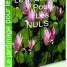 l-art-de-l-amenagement-des-jardins