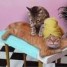 vivifiant-massage-asiatique