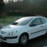 peugeot-307-societe