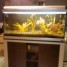 aquarium-330-litres-accompagne-du-meuble-de-rangement-juwel-etat-neuf