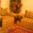 a-saisir-beau-salon-marocain-a-1000eur-un-rideau-offert