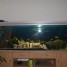 aquarium-640-litres-avec-meuble-marque-rena