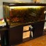 aquarium-450-litres-son-meuble