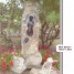 statues-fontaines-lion-en-pierre-lion-en-pierre-et-marbre-10a-50