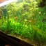 aquarium-300-litres-poissons-plantes-decoration-livres-classeurs-et-aquarium-100-litres