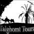 tours-4x4-in-morocco-morocco-desert-tours-camel-trekking-tours-from-fes-viajes-4x4-por-marruecos-rutas-desde-marrakech-y-fes