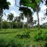republique-dominicaine-terrains-a-batir