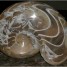 le-marbre-fossilise-d-erfoud-chez-brahim-outaleb