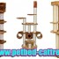 china-cat-tree-factory-cat-furniture-exporter-cat-tree-factory-cat-trees-cat-furniture-manufacturer-pet-dog-products-supplier