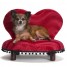 mode-canine-et-accessoires-de-luxe-pour-chiens-gates-poppys-corner-shop