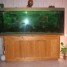 aquarium-800l-avec-meuble-et-equipement