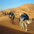 maroc-voyage-bivouac-merzouga-tour-4x4-camel-trek-aventure