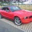 ford-mustang-cab-2005