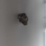 a-vendre-15kg-de-meteorites-polynesie-francaise