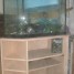 aquarium-d-angle-meuble