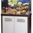 aquarium-avec-meuble-en-bois-blanc-et-marron-foncee-ar-100