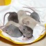 bebe-rats