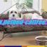 china-iron-pet-beds-exporter-cat-tree-manufacturer-dog-beds-supplier-pet-products