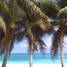 vend-terrain-en-bord-de-plage-republique-dominicaine