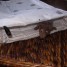 hamac-tunnel-pour-furet-rats
