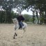 cheval-pure-race-espagnole