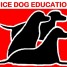 educateur-canin-comportementaliste-diplome-alpes-maritimes-06