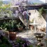 maison-vigneronne-avec-jardin-capendu-proche-carcassonne-aude