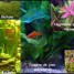 gros-lot-de-plus-de-30-plantes-pour-aquarium