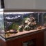 aquarium-480-litres