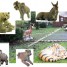 elephant-grandeur-nature-de-2-20mx3-30m-grandeur-nature-ane-charette-avec-chevaux-elephant-lion-loup-aigle-tigre-gorille-hippopotam-biche-vache