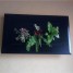 tableaux-vegetale-plante-au-mur