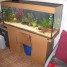 enssemble-meuble-aquarium-juwel-rio-240