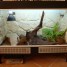 superbe-vivarium-meuble-tele-geckos-leopard