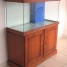 aquarium-200l-sur-meuble-bois