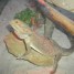 pogona-et-gecko-africain