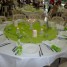 wedding-planner-organisateur-de-mariages-bapteme-communion-anniversaire-inauguration-arbre-de-noel