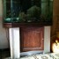 aquarium-panoramique-de-500-l