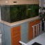 aquarium-450-litres-meuble