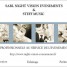 sarl-night-vision-evenements-and-steff-music