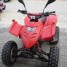 quad-adly-300-thunderbike
