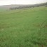 8-5-hectares-a-vendre-region-fez
