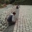 paves-granit-10x10cm