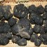 truffe-fraiche-noire-tuber-melanosporum