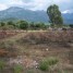 terrain-agricole-dans-la-region-de-calvi-v615