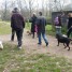 cours-d-education-canine-mussonville-begles