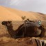 marrakech-desert-tours-excursions-morocco-http-marrakech-desert-tours-com