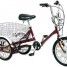 tricycle-electrique-isd-608